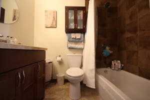 2203-389 DUNDAS STREET. LONDON CONDO FOR SALE